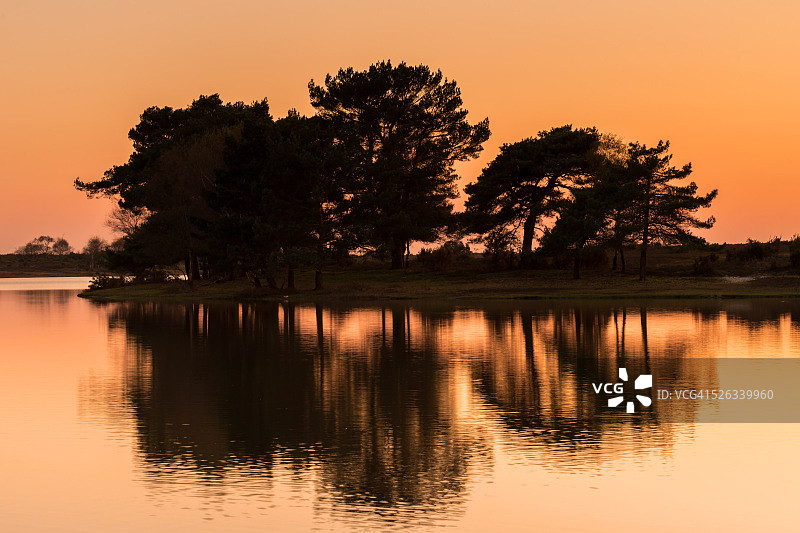 斧头砍树图片素材