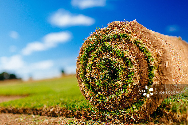 草皮农场，预先种植的草坪切割并卷起图片素材