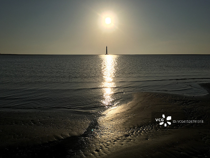 牵牛花图片素材