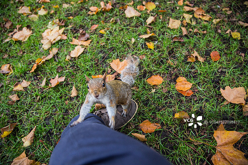我的观点图片素材
