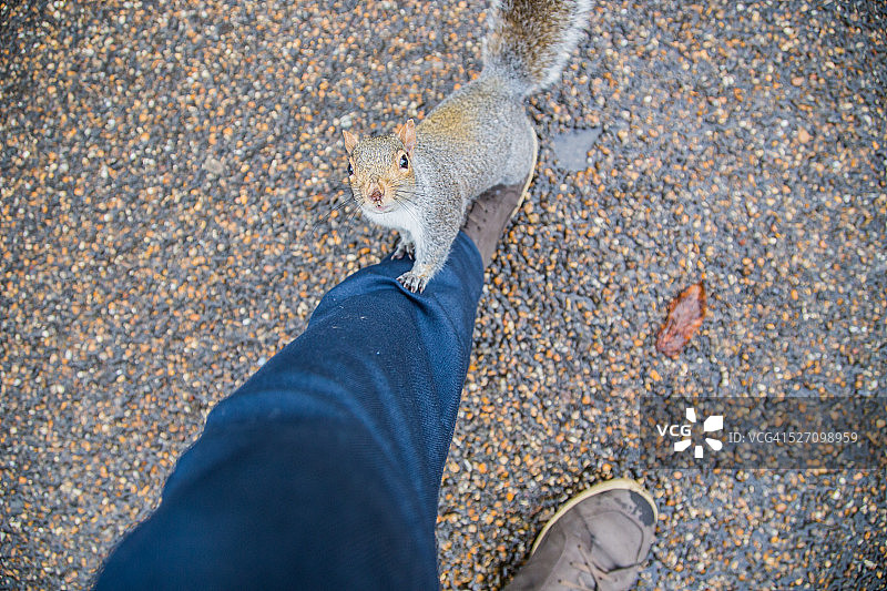 我的观点图片素材