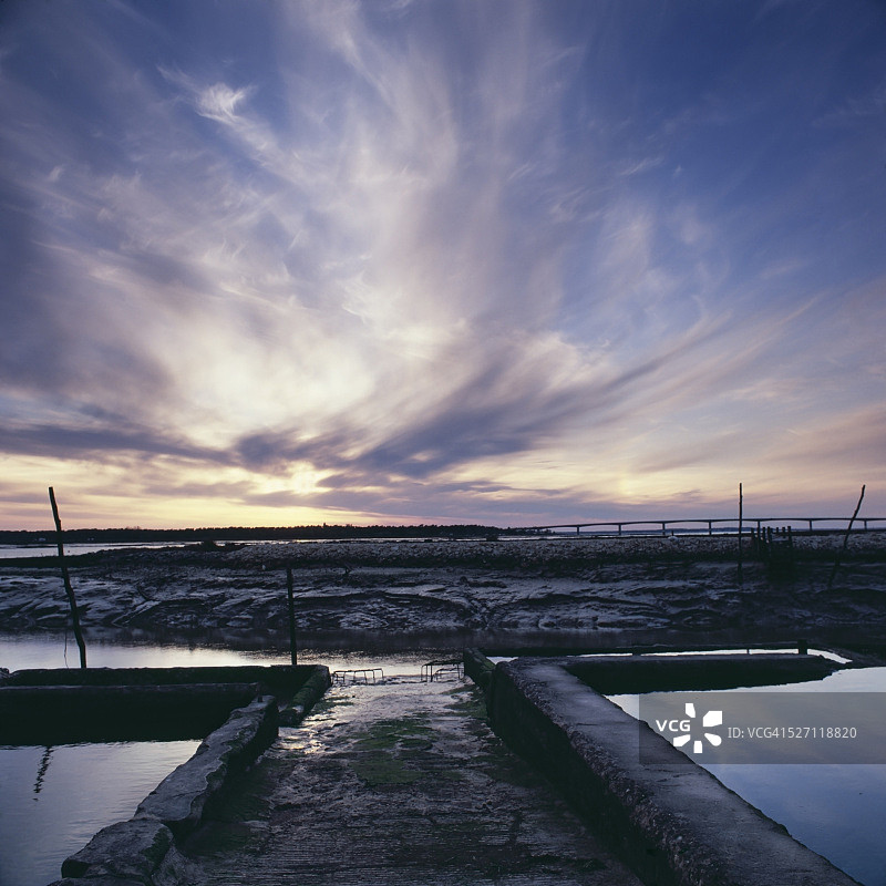 牡蛎养殖图片素材