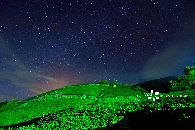 茶园夜幕降临图片素材