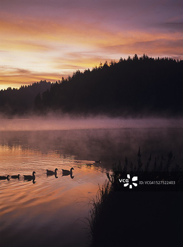 鳗鱼湖的黎明天空倒影图片素材