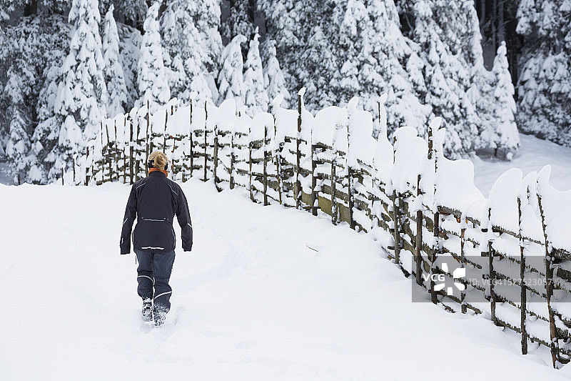雪地里沿着木栅栏行走的徒步女人图片素材