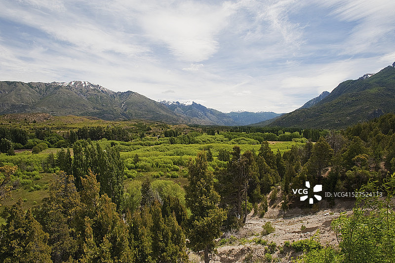 阿根廷丘布特省山区茂盛的树叶图片素材