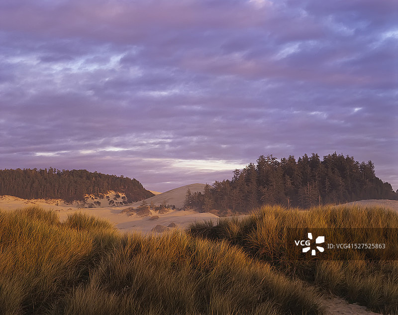 午后阳光照耀着俄勒冈沙丘国家 recreation Area的Umpqua沙丘图片素材