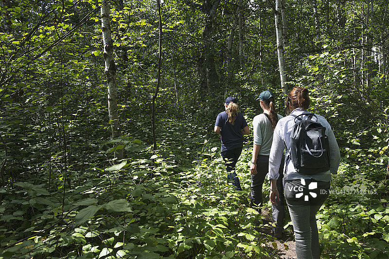 在骑马山国家公园森林中徒步的母亲和女儿们图片素材