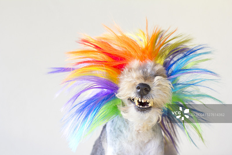 彩色假发图片素材