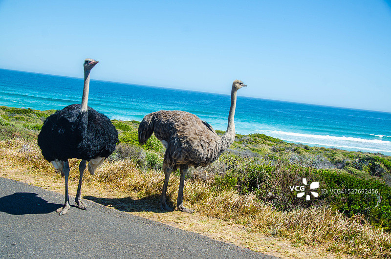 南非开普角图片素材