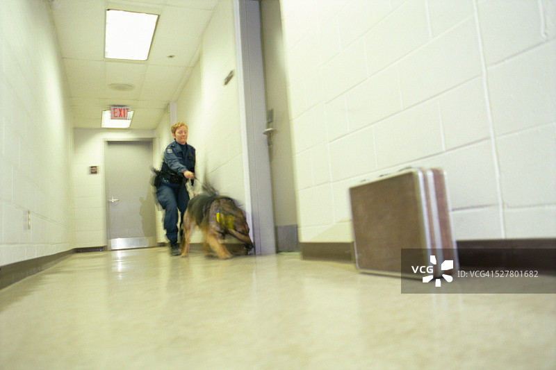 女警察与警犬检查建筑物图片素材