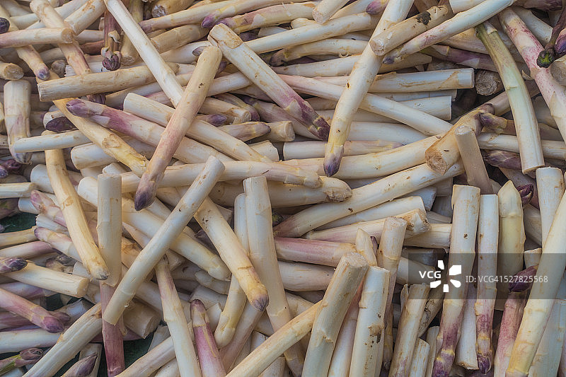 芦笋，法国沃克吕兹省卡庞特拉图片素材