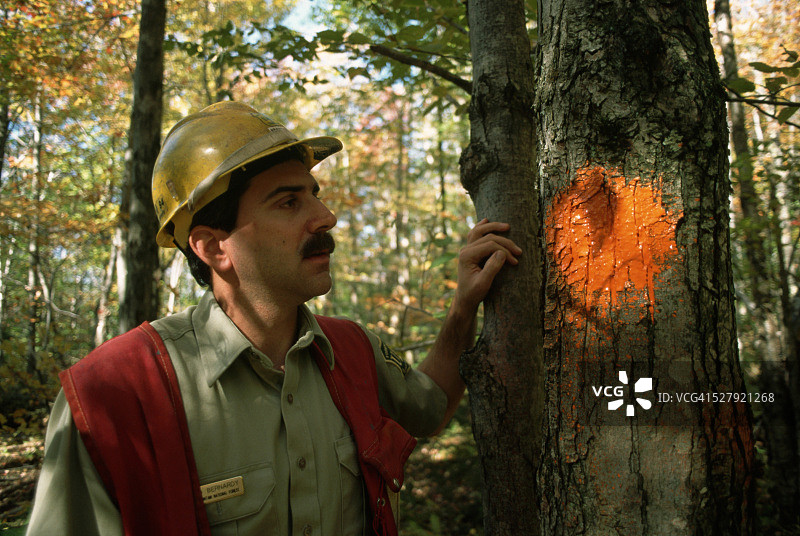 标记木材旁的林务员图片素材