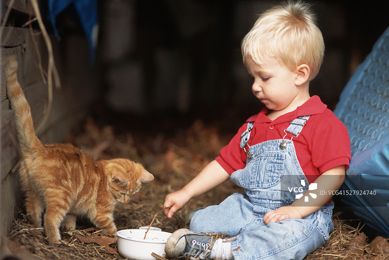 幼儿和小猫玩耍图片素材