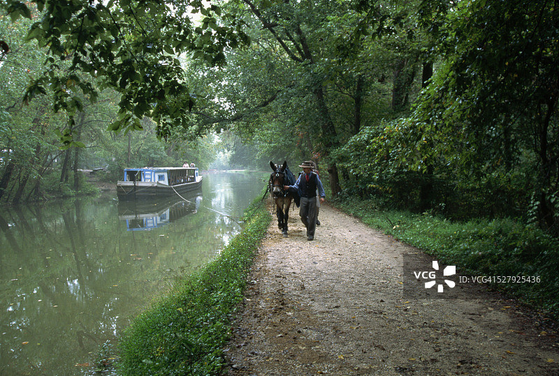 制革工人牵着驳船拉骡子图片素材