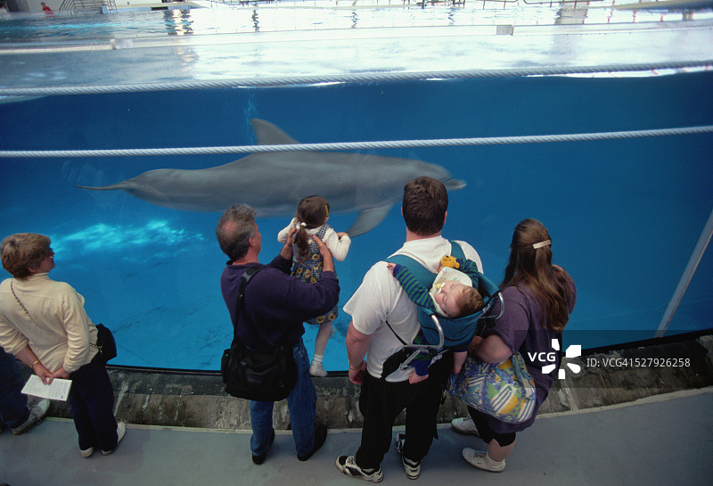 海豚池游客图片素材