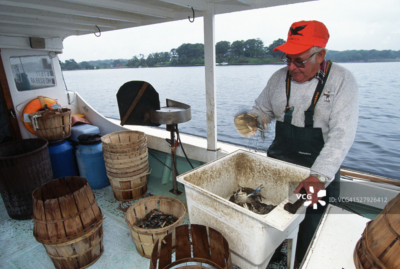 伍迪·福克纳观察螃蟹图片素材