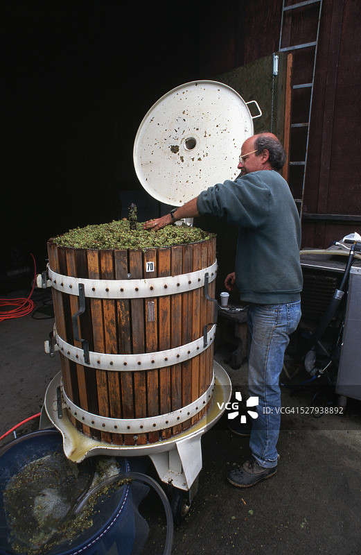 酿酒师用压榨机压榨葡萄图片素材