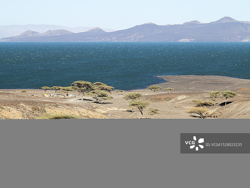 图尔卡纳湖的金合欢树和图尔卡纳村庄图片素材