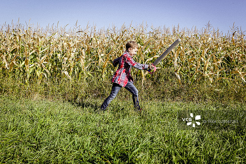 男孩在玉米地里玩剑图片素材