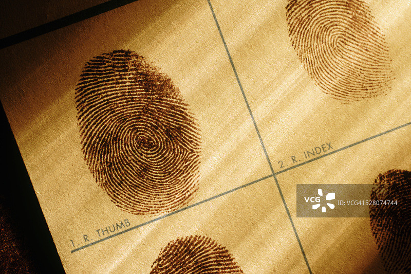 指纹图表图片素材