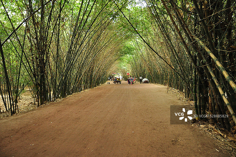 竹林小路图片素材