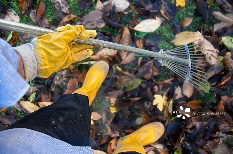 秋季园艺农作图片素材