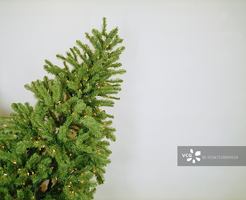 圣诞树图片素材