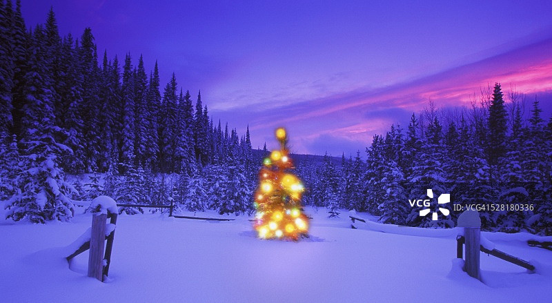 山区户外的圣诞树灯光图片素材