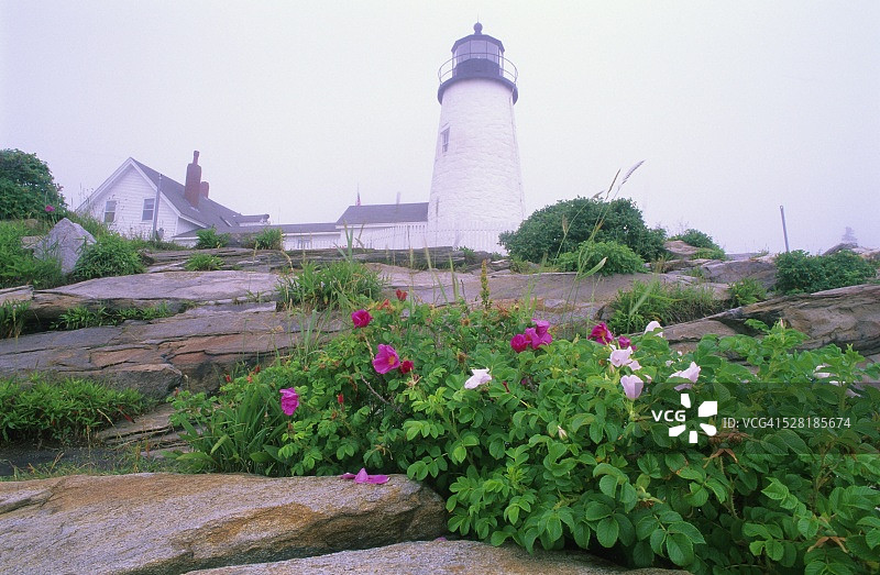 佩马奎德角灯塔图片素材