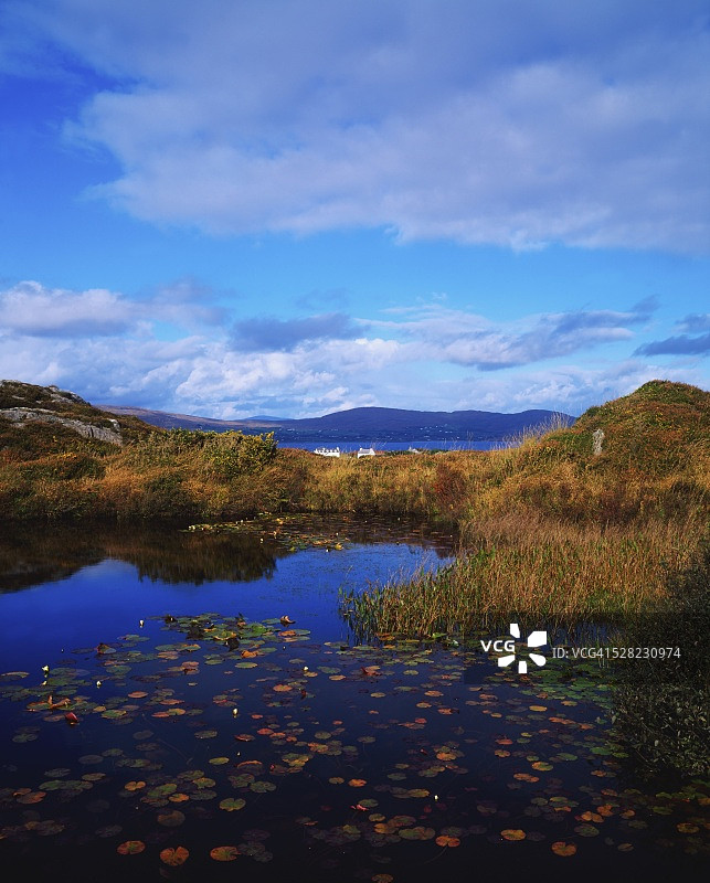 邓马纳斯湾图片素材