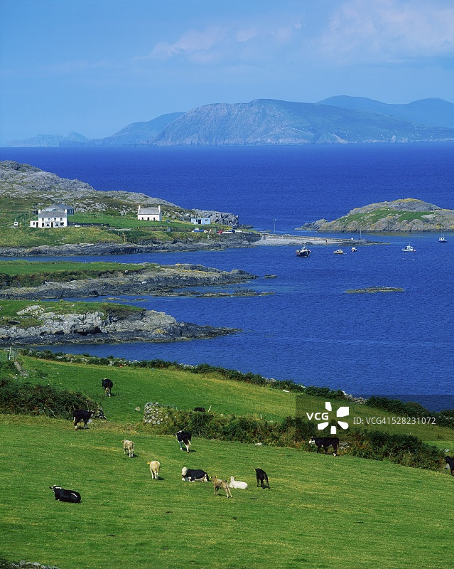 科克郡加里尼什岛，爱尔兰贝拉半岛图片素材