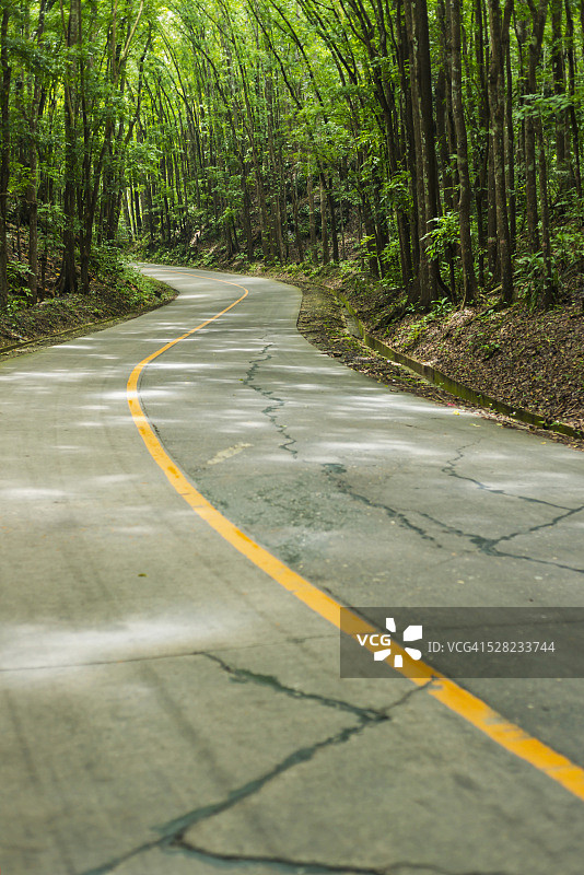 薄荷岛中部森林沿岸的道路，菲律宾图片素材