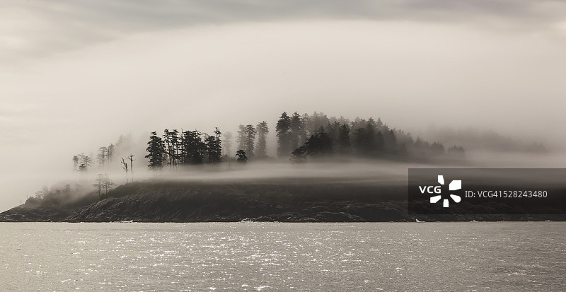 笼罩在雾中的松树岛，加拿大不列颠哥伦比亚省图片素材