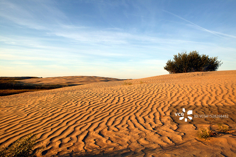加拿大萨斯喀彻温省大沙丘脆弱生态系统中的沙漠环境图片素材