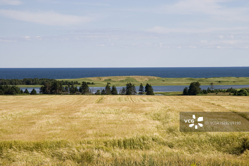 爱德华王子岛东点附近的农田和海洋图片素材