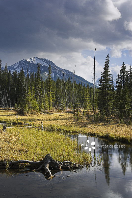 加拿大艾伯塔省卡纳纳斯基斯乡村的海狸池塘和秃山图片素材
