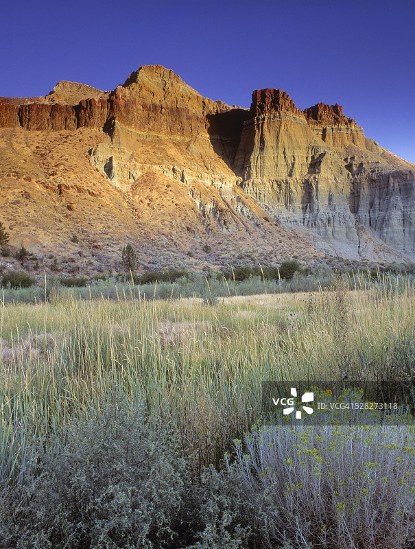 美国俄勒冈州约翰迪化石床国家纪念地的城堡岩图片素材