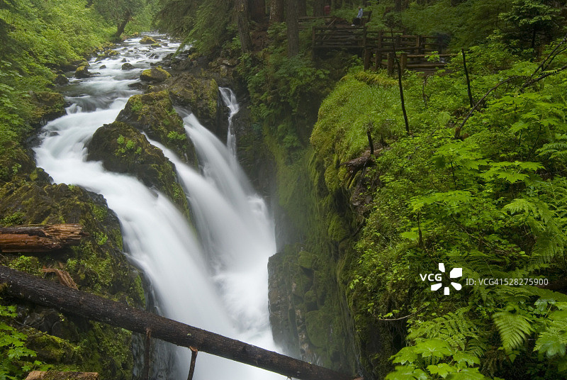 瀑布倾泻到原始森林的峡谷中，索尔杜克河，奥林匹克国家公园，华盛顿州，美国图片素材
