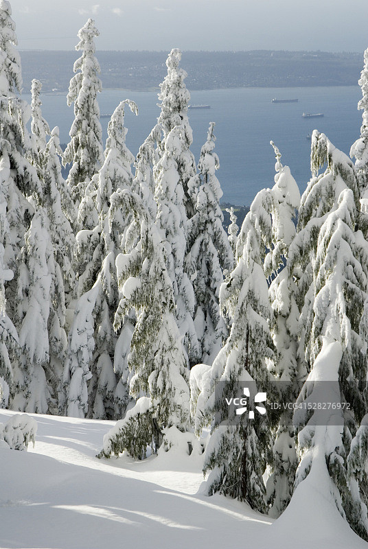 从不列颠哥伦比亚省温哥华松鸡山顶看到的景色图片素材