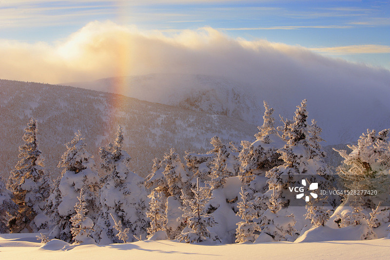 加拿大魁北克省日落时分覆盖白雪的树木、霜虹和洛根山景色图片素材
