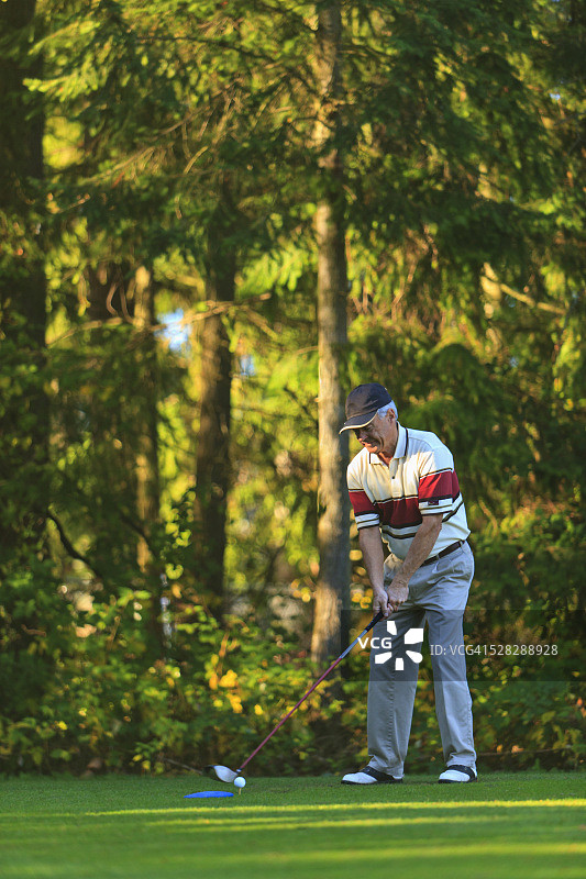 男人在林伍德高尔夫球场打高尔夫；美国华盛顿州林伍德图片素材