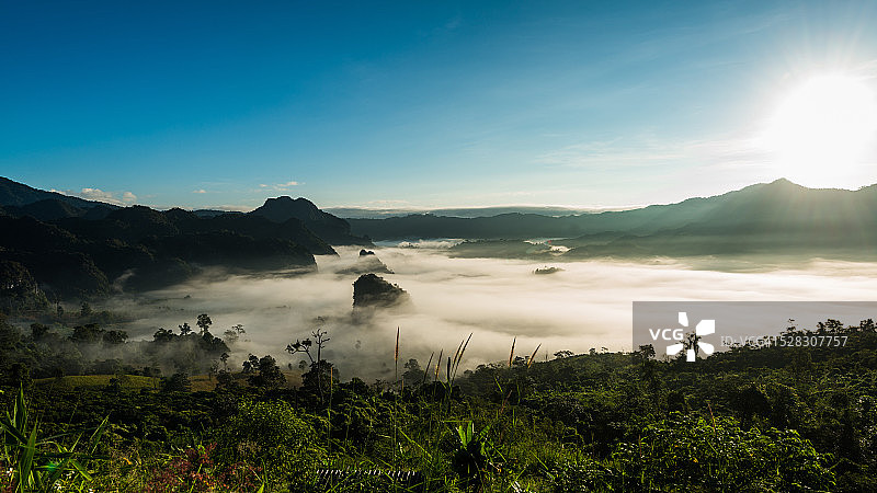 雾 फॉरेस्ट日出图片素材