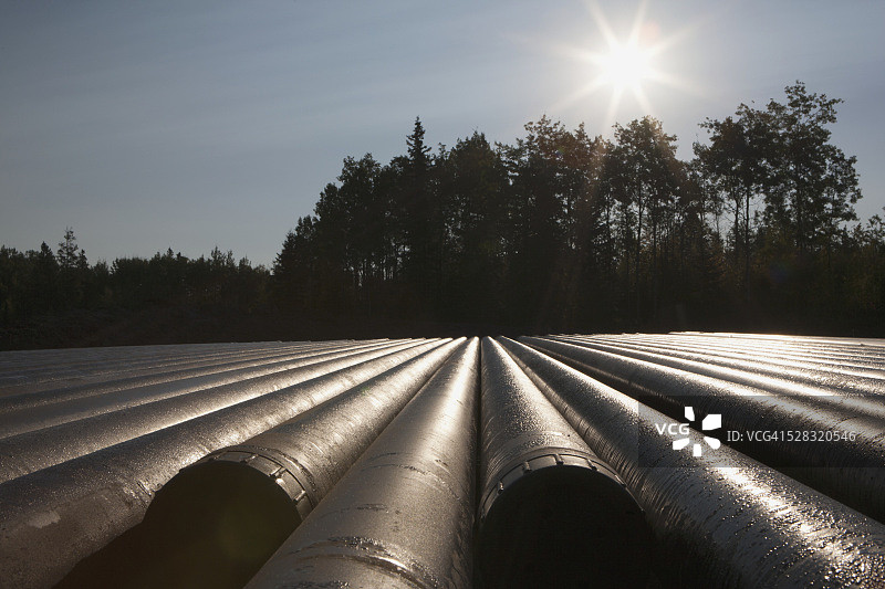 加拿大阿尔伯塔省德雷顿 valley 附近，以阳光、树木和蓝天为背景的钻井管道特写图片素材