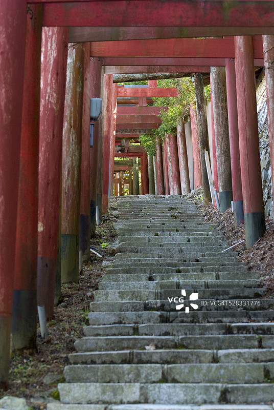 鸟居和石阶；日本和歌山县高野山图片素材