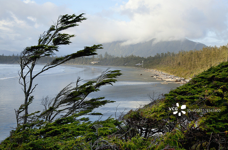 托菲诺附近的考克斯湾，加拿大不列颠哥伦比亚省图片素材
