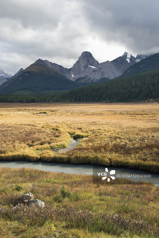 加拿大艾伯塔省卡纳纳斯基斯省立公园的恩嘎丁草甸图片素材