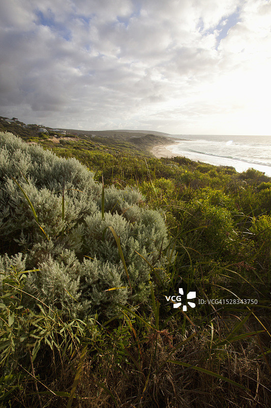 澳大利亚亚林加普海岸的沙滩和悬崖图片素材