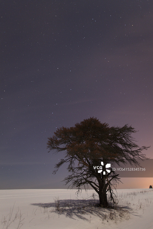 夜空中的北斗星与孤树：加拿大安大略省雷湾图片素材