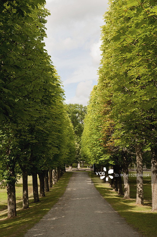 斯德哥尔摩皇后岛宫的林荫小路图片素材